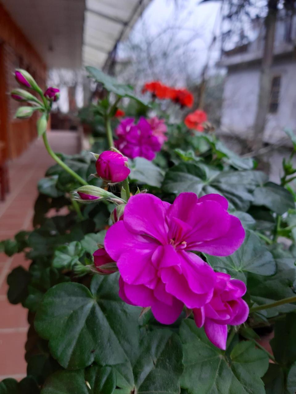 Dang Khoa Garden Inn Homestay Sa Pa Exterior photo